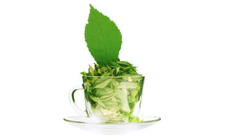 草绿茶